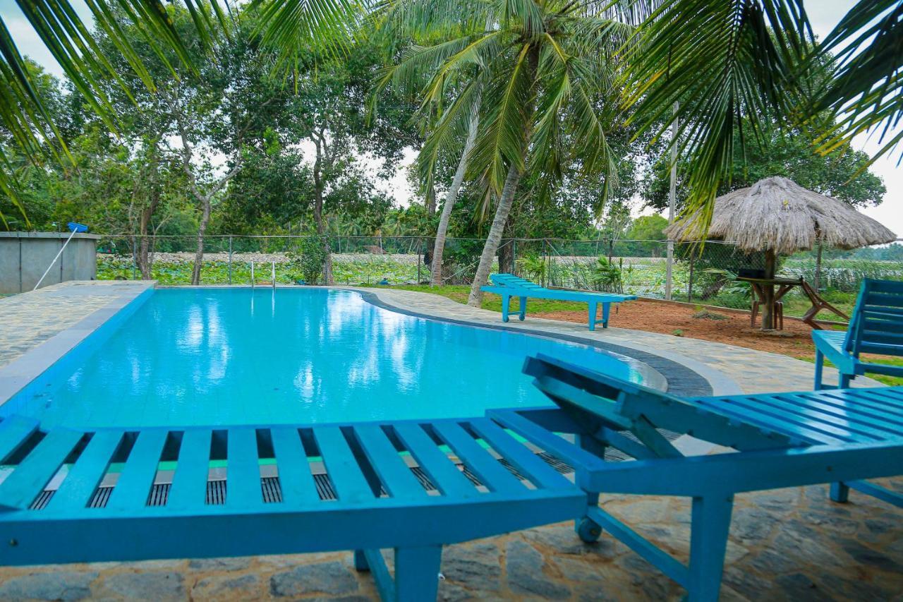 Lake Edge Holiday Inn Tissamaharama Exterior foto